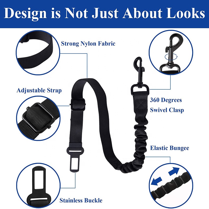 Popular customization