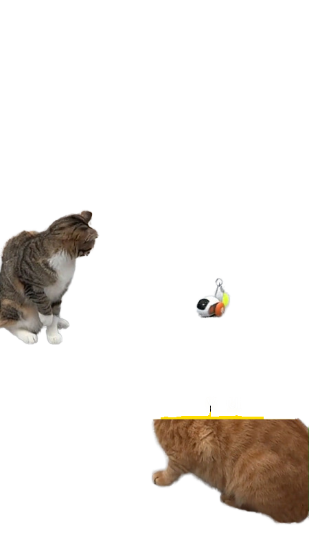 Interactive pet toys