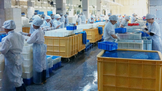 Supplier Album Image