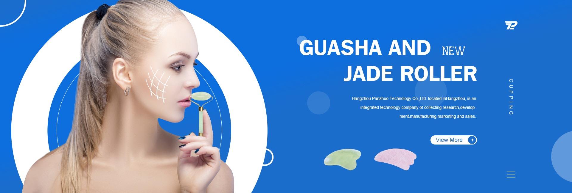 Hangzhou Panzhuo Technology Co., Ltd.