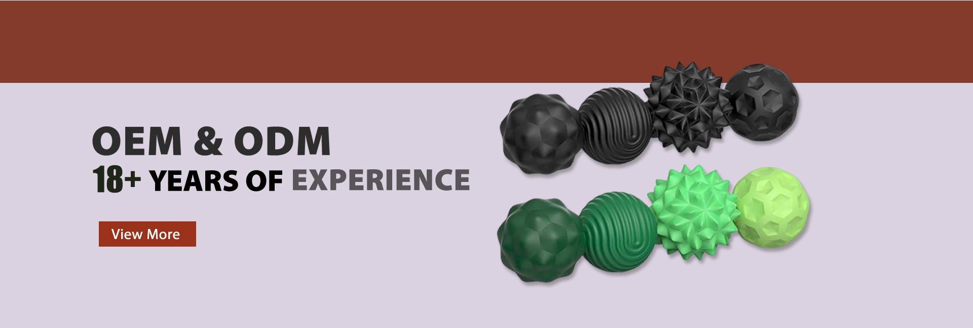 Dongguan Fulian Moulding Co., Ltd.