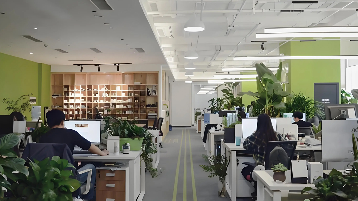 Supplier Album Image