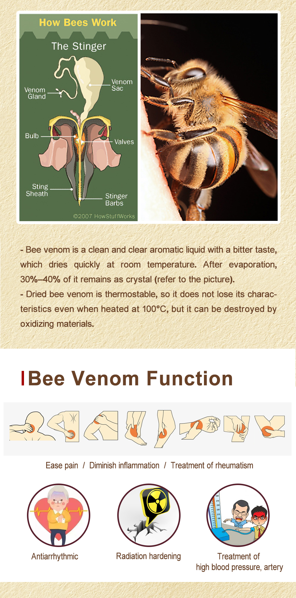 Bee Venom