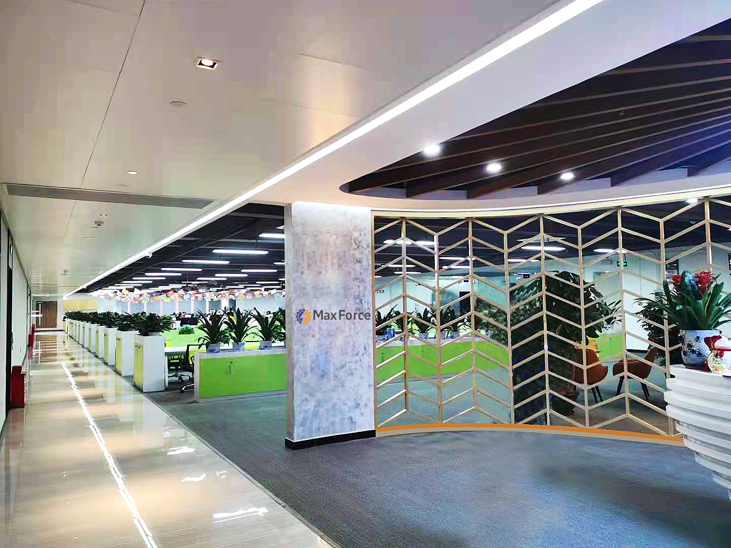 Supplier Album Image