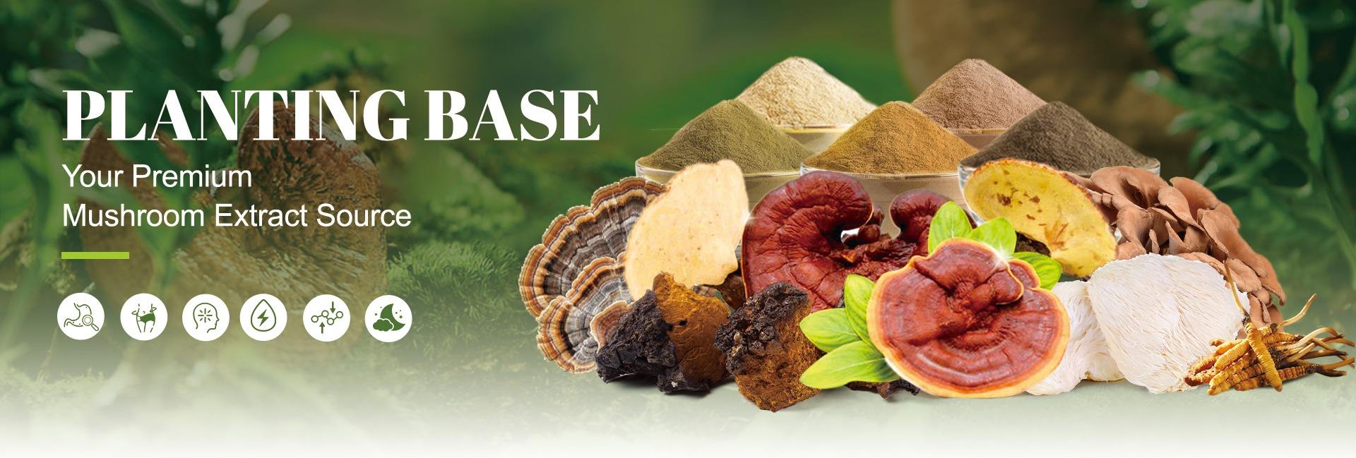 Fujian Herbal Treasure Bioengineering Co.Ltd