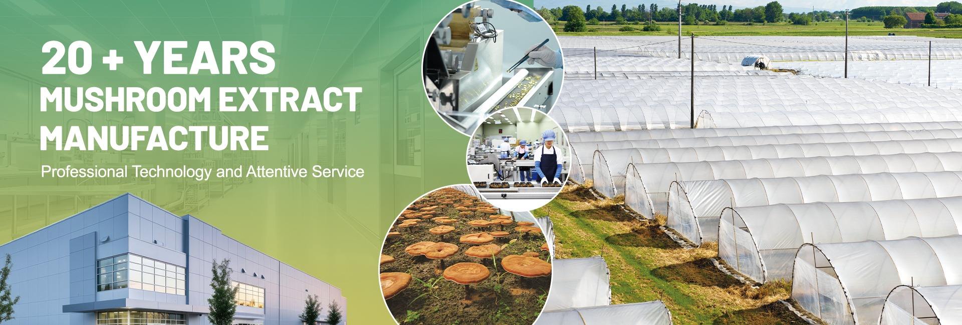 Fujian Herbal Treasure Bioengineering Co.Ltd