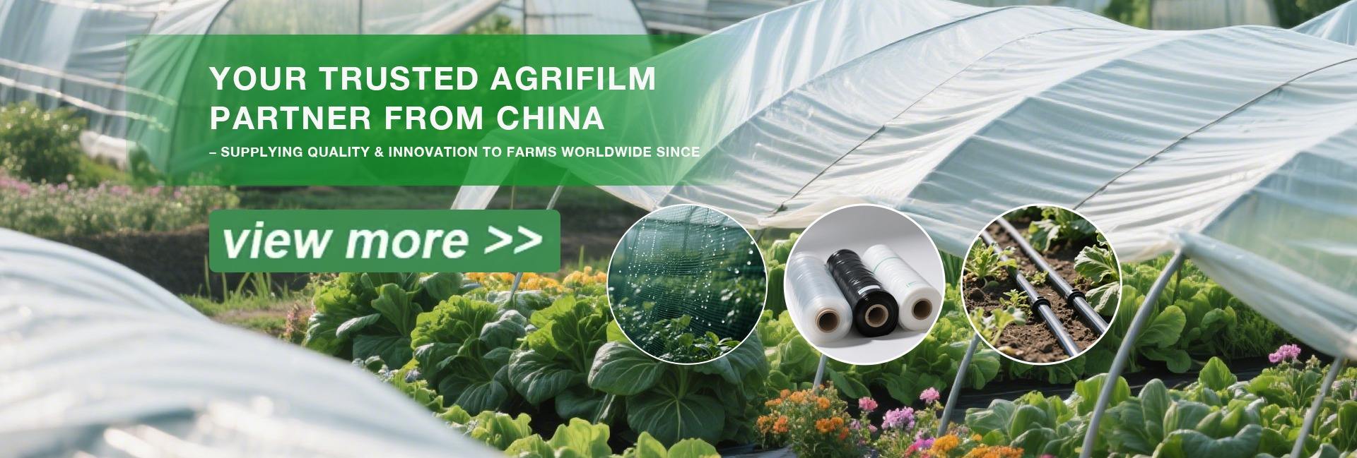 Shandong Honrel Co., Limited