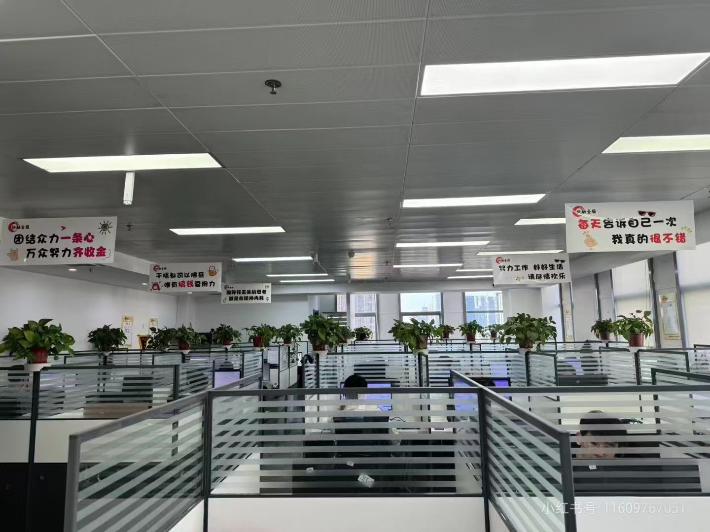 Supplier Album Image