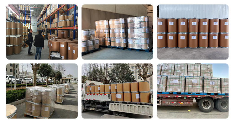 Plant Powder & Pigments