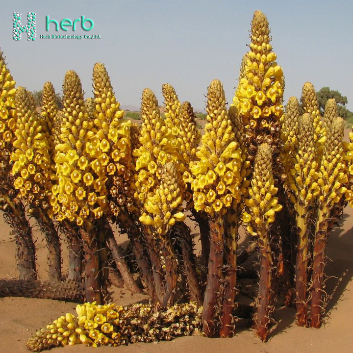 Aphrodisiac products