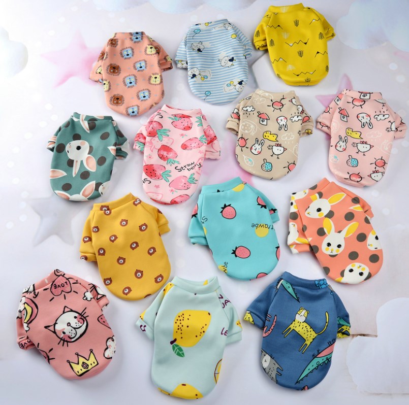 Clothes & Fashion Accessories