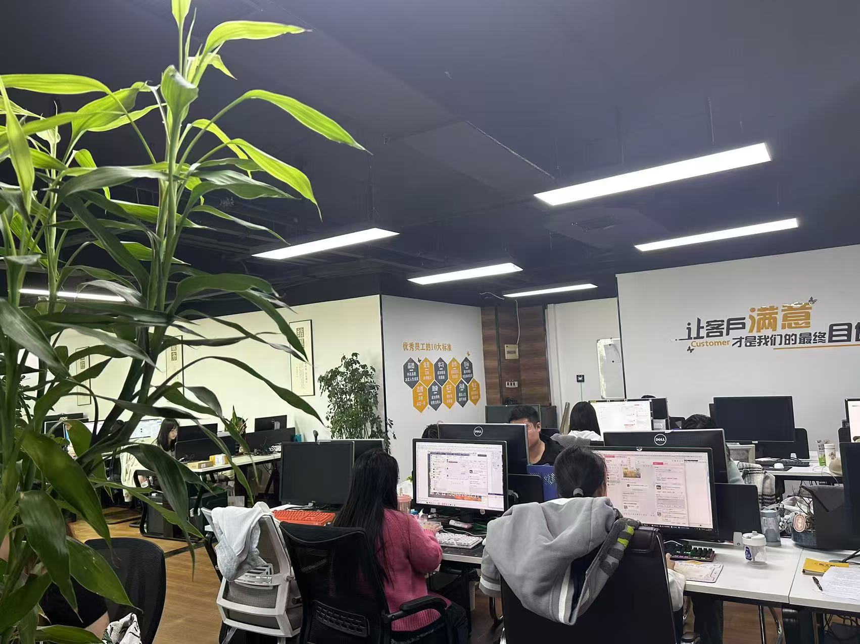 Supplier Album Image