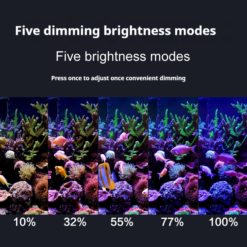 Aquarium Lighting