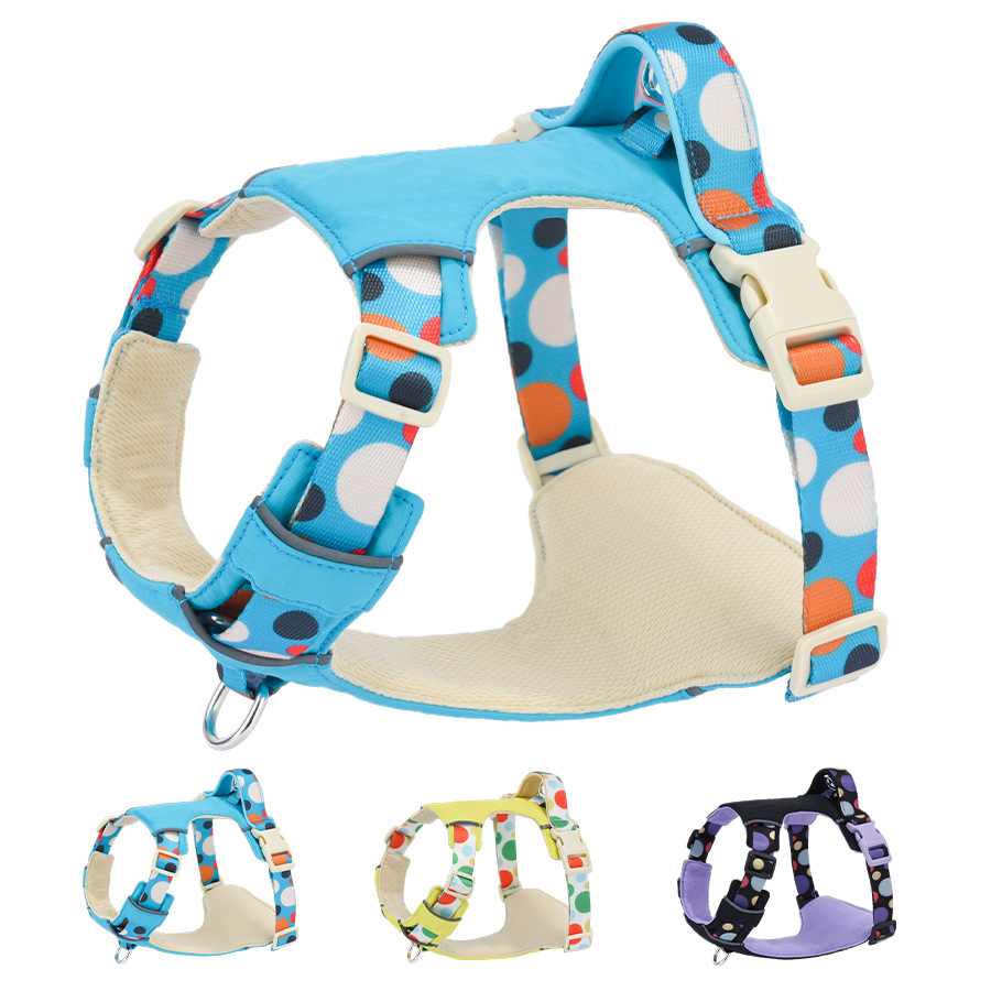 Pet Collar & Leash &Harness