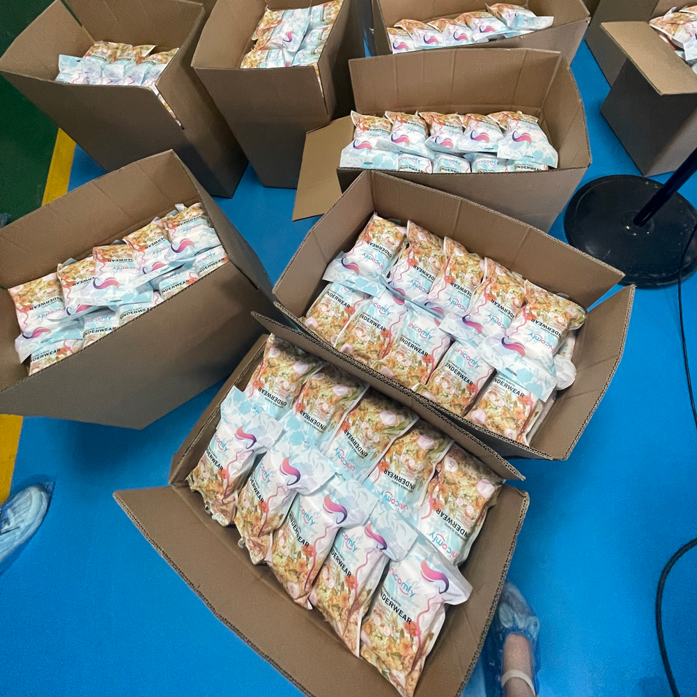 Disposable Underwear