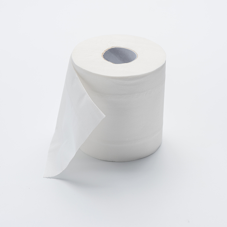 Sanitary Paper