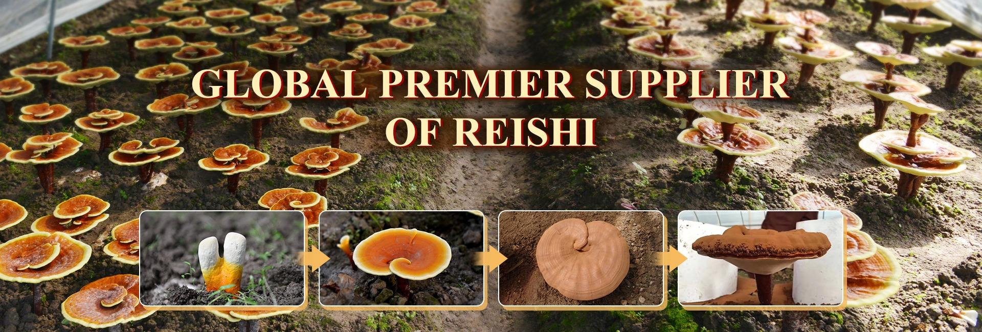 Fujian Xianzhilou Biological Science & Technology Co., Ltd.