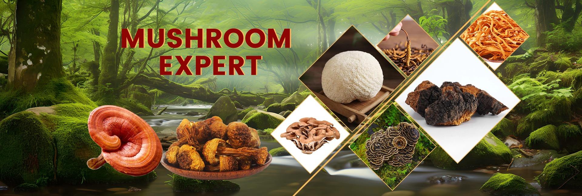 Fujian Xianzhilou Biological Science & Technology Co., Ltd.