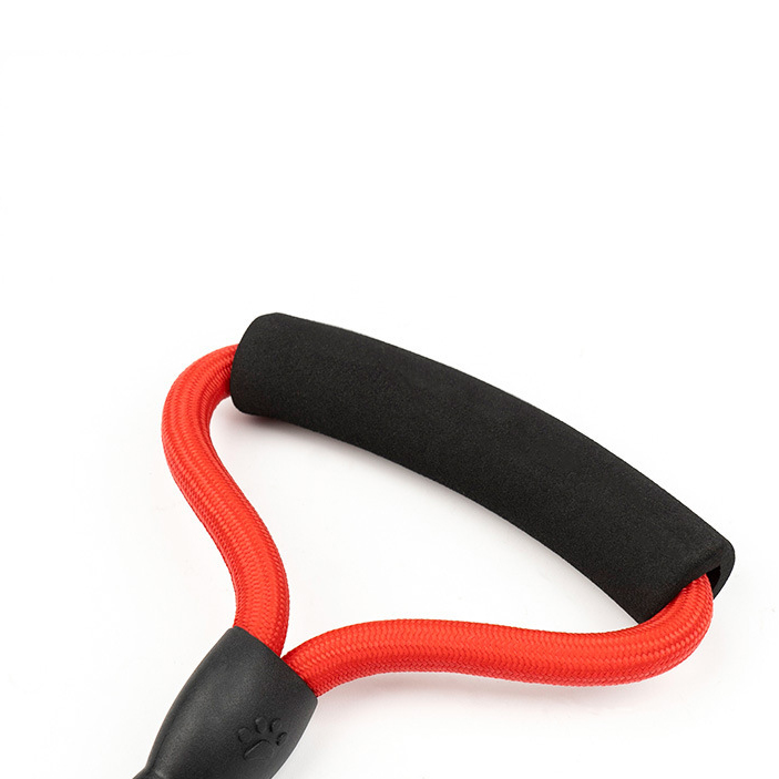 Dog Collar and Harness