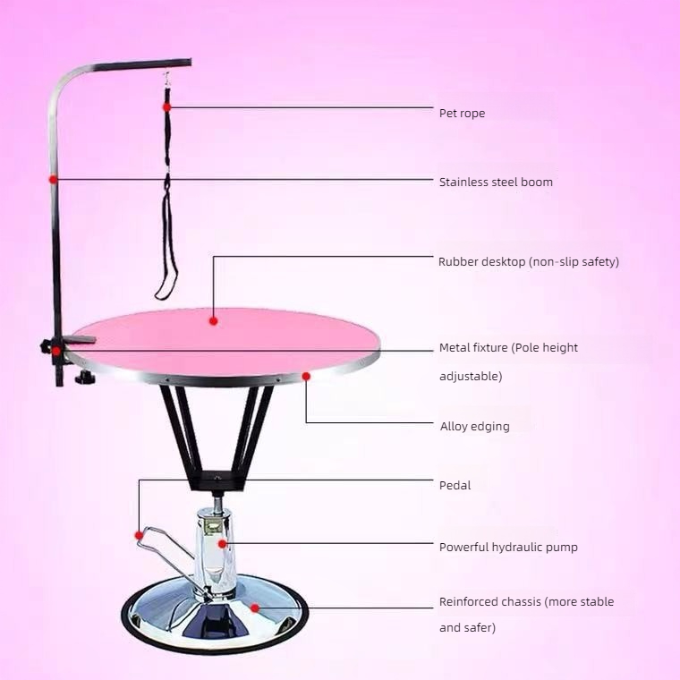 pet cleaning products and grooming tools