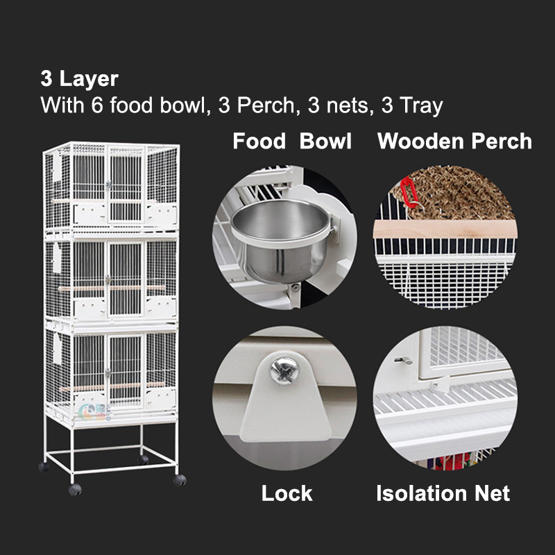 Bird Cages