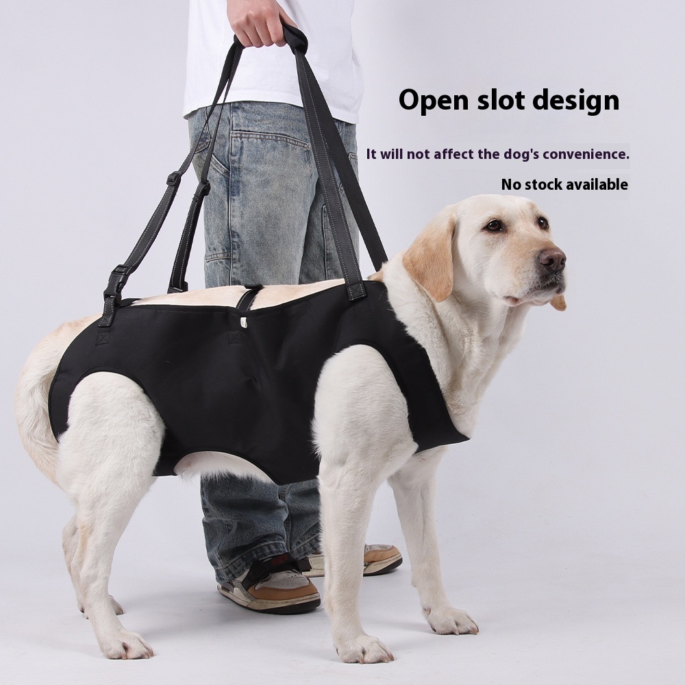 Pet Leash/Chest Strap