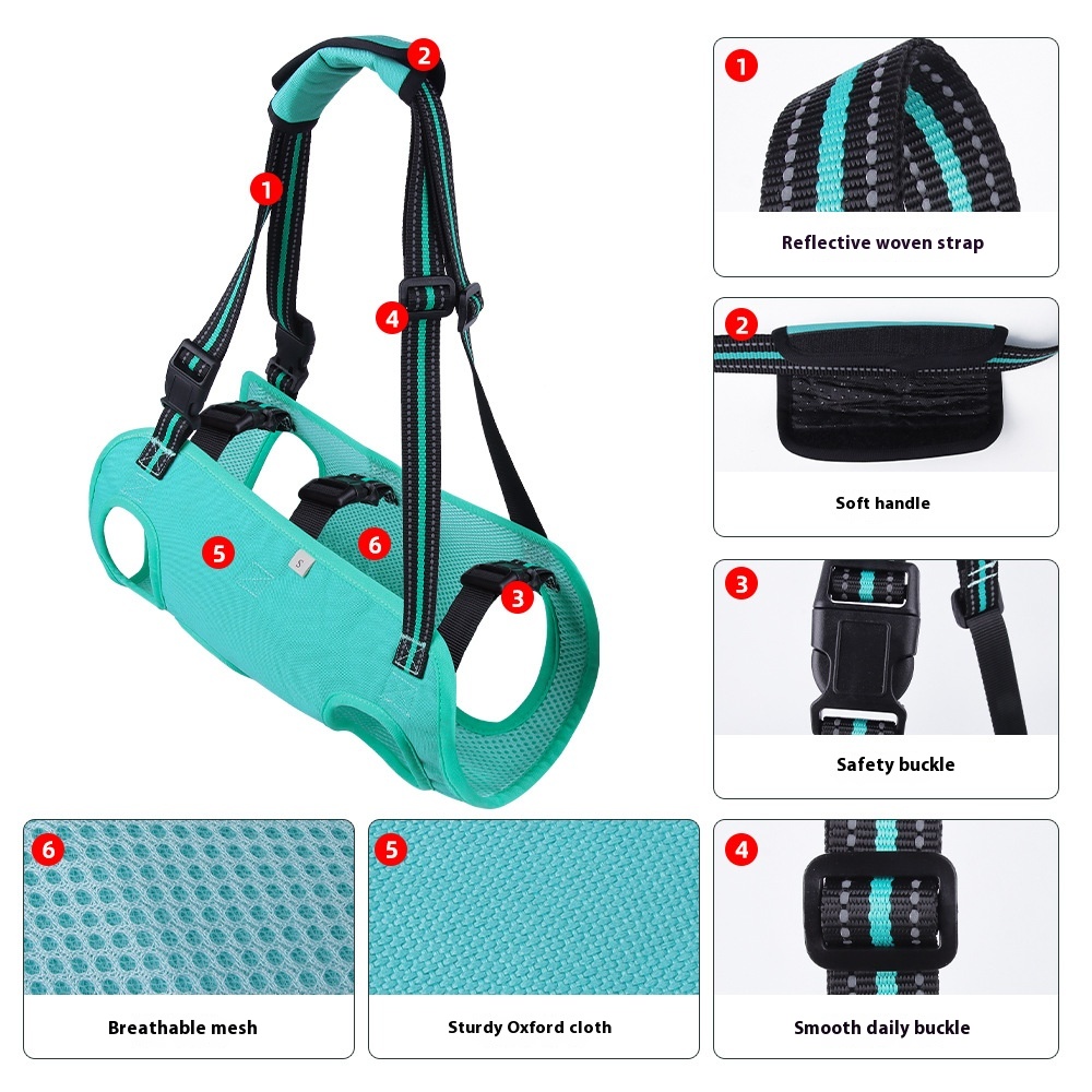 Pet Leash/Chest Strap