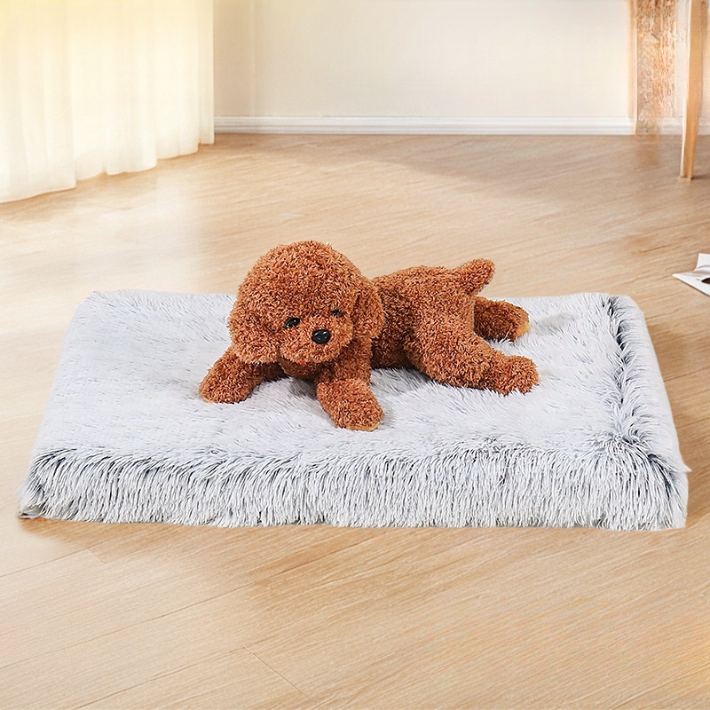 Pet Tent&Pet Camp Bed