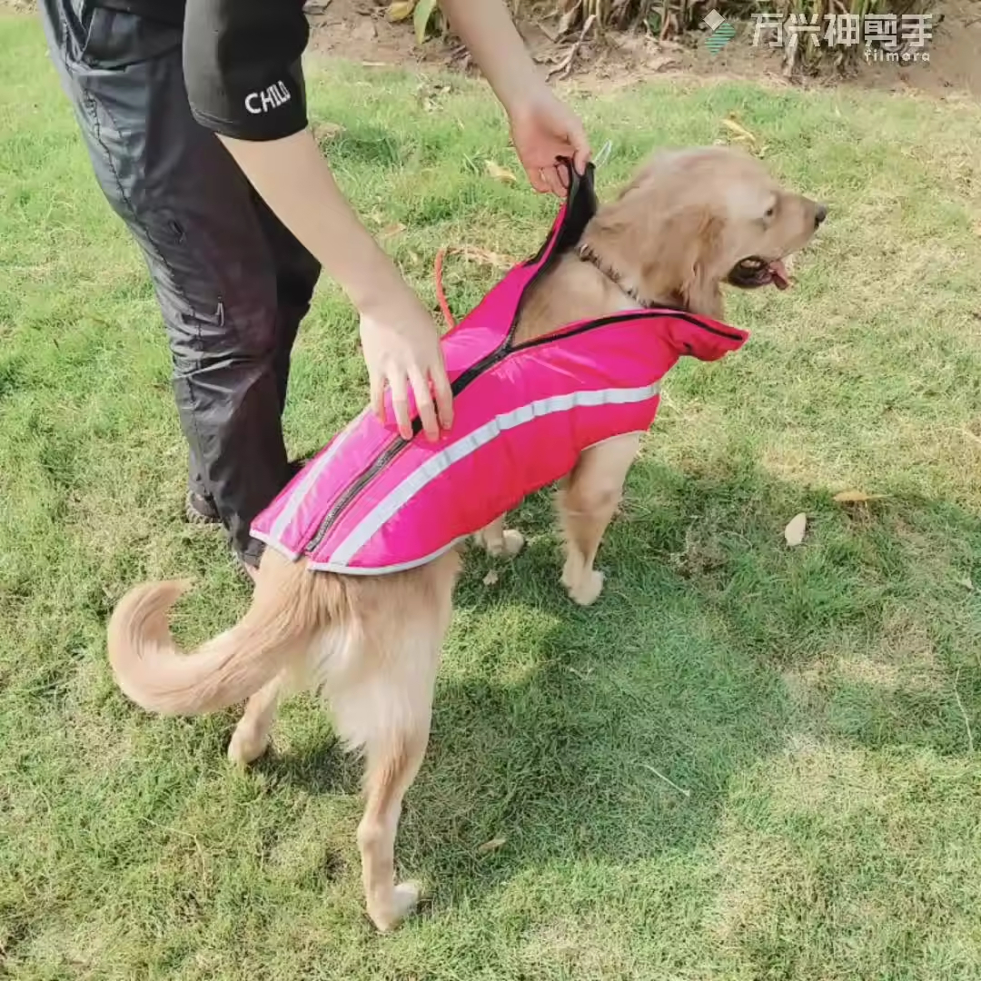 Pet Outdoor Apparel Accessories