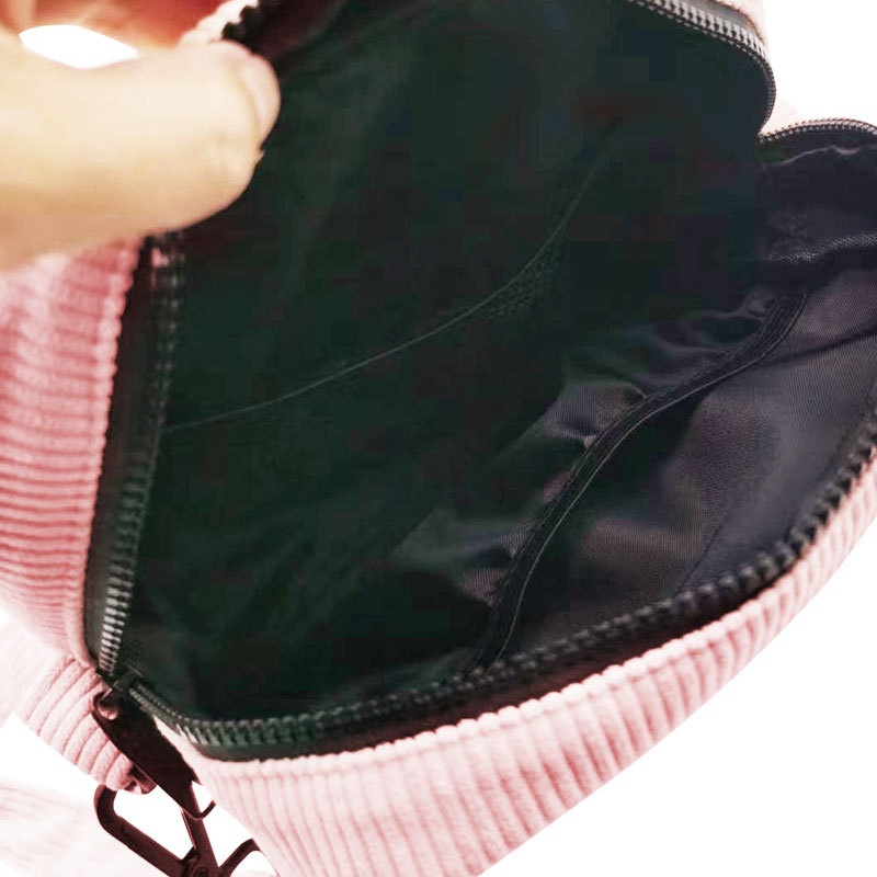 Dog Training & Behavior