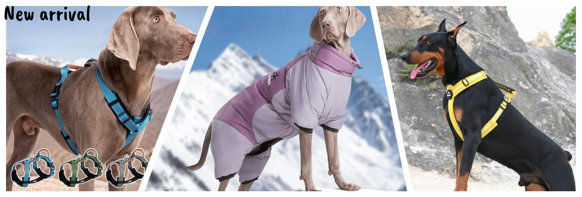 Shaoxing Semon Pet Products Co.,Ltd.