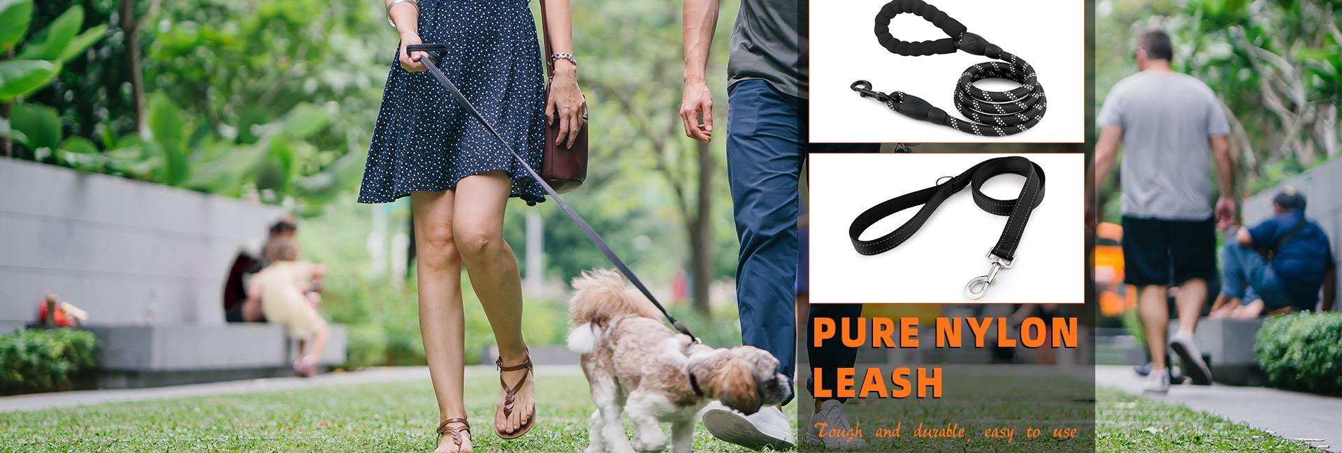 Guangzhou Cooldog Pet Product Co., Ltd.