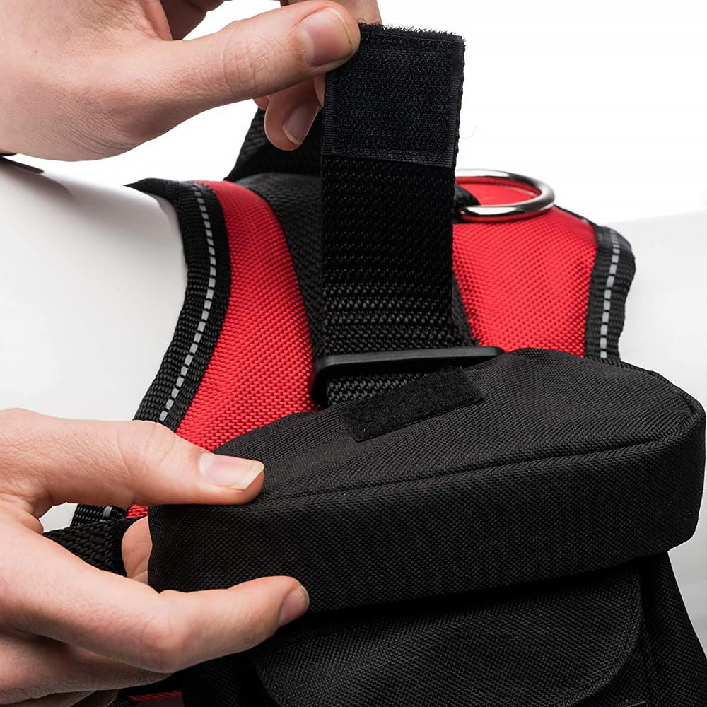 Pet Training & Travel