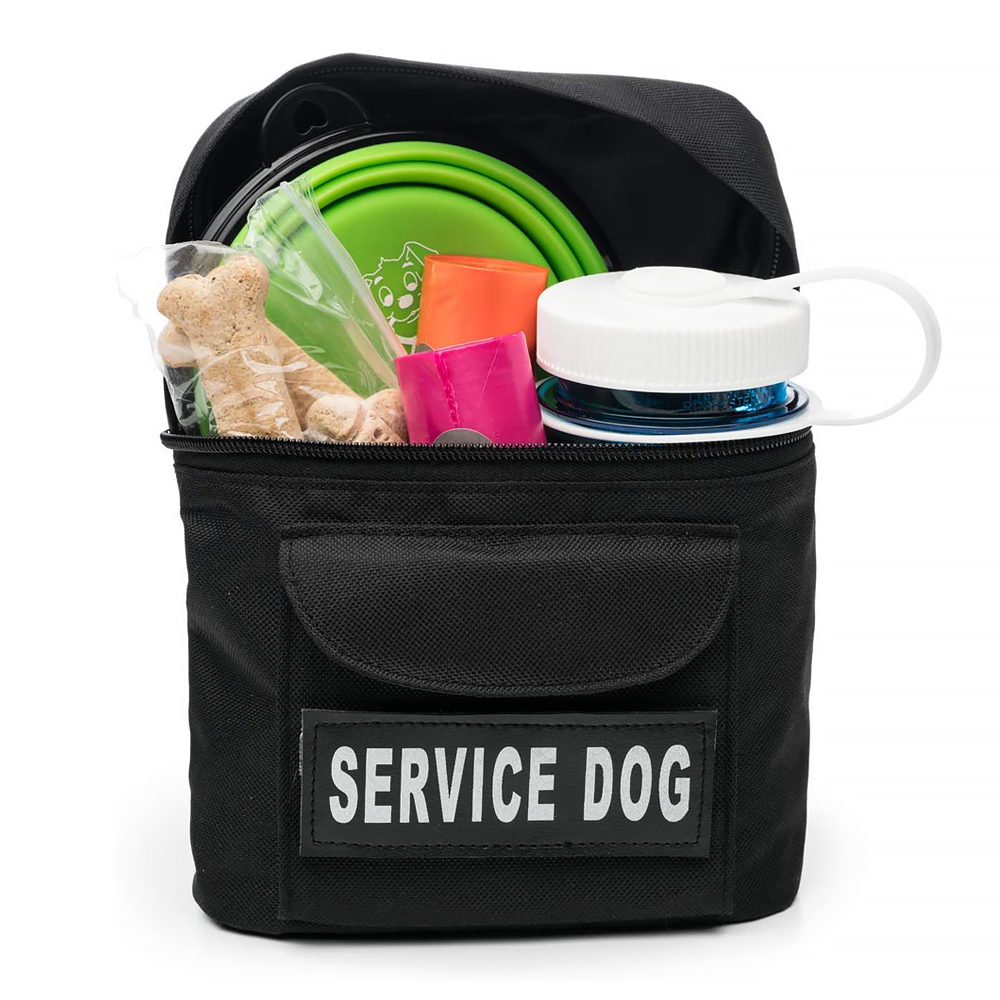 Pet Training & Travel