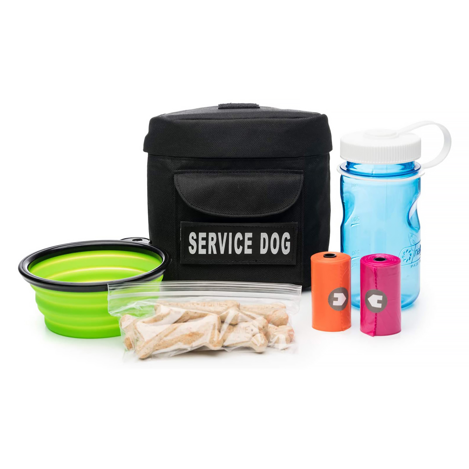 Pet Training & Travel