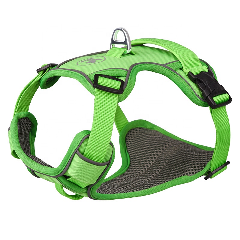 Pet harness & leash & collar