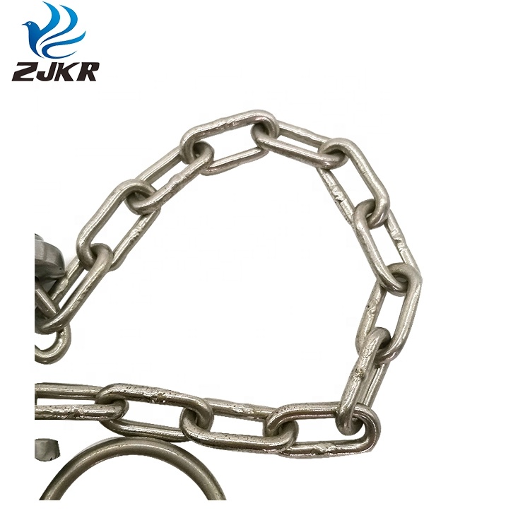 Feeding & AI Equipment