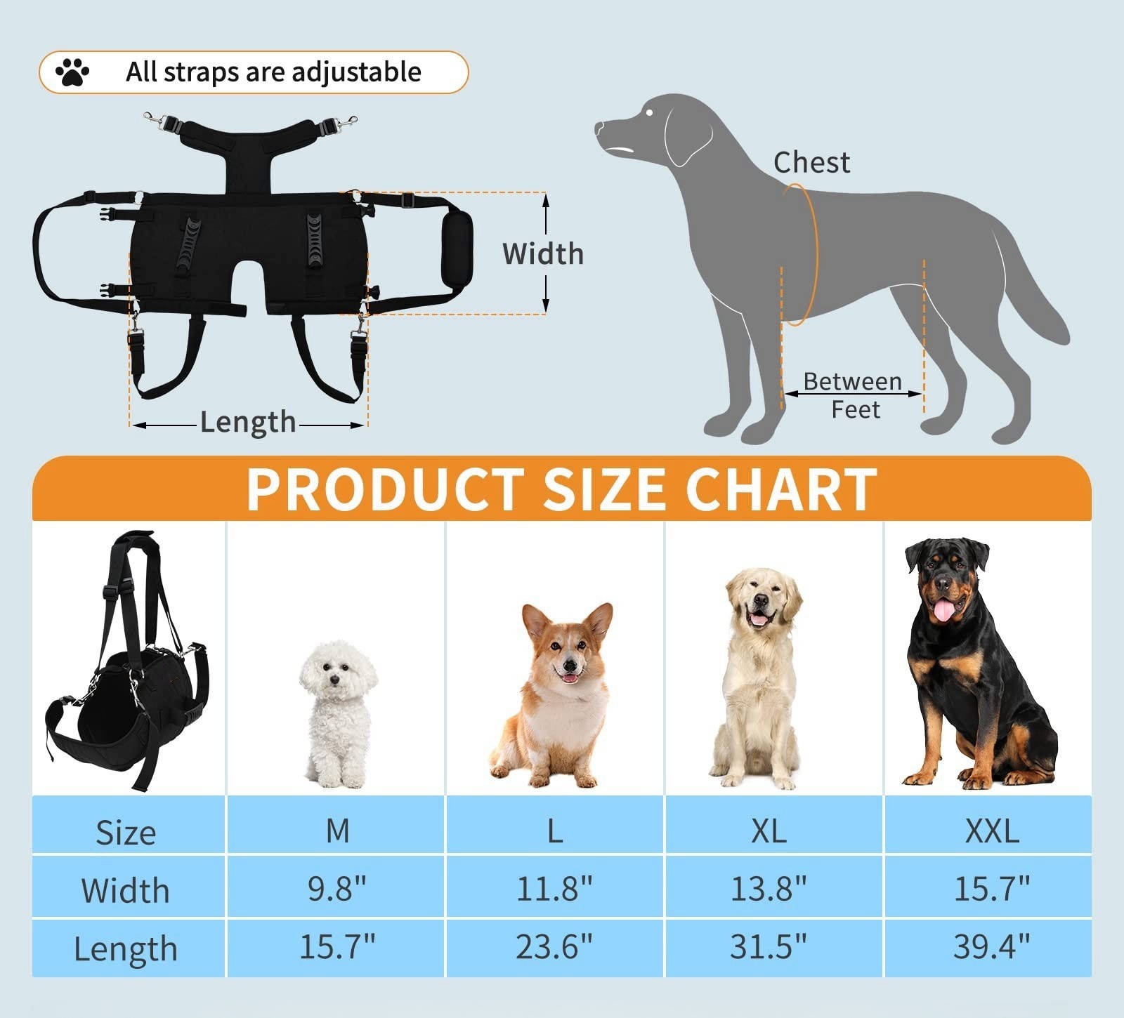Pet Cages & Carriers