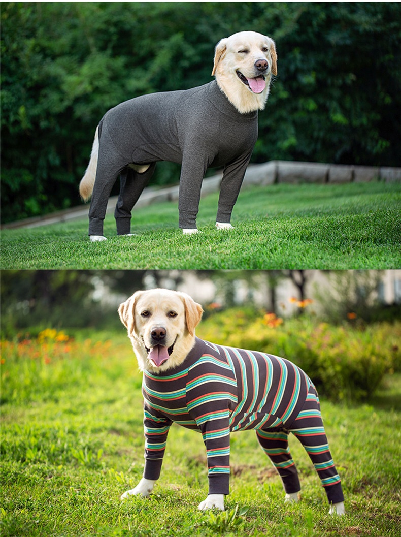 Pet Cleaning & Grooming