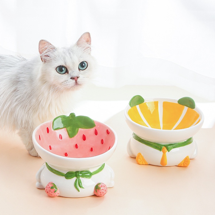 Pet Bowls & Feeders
