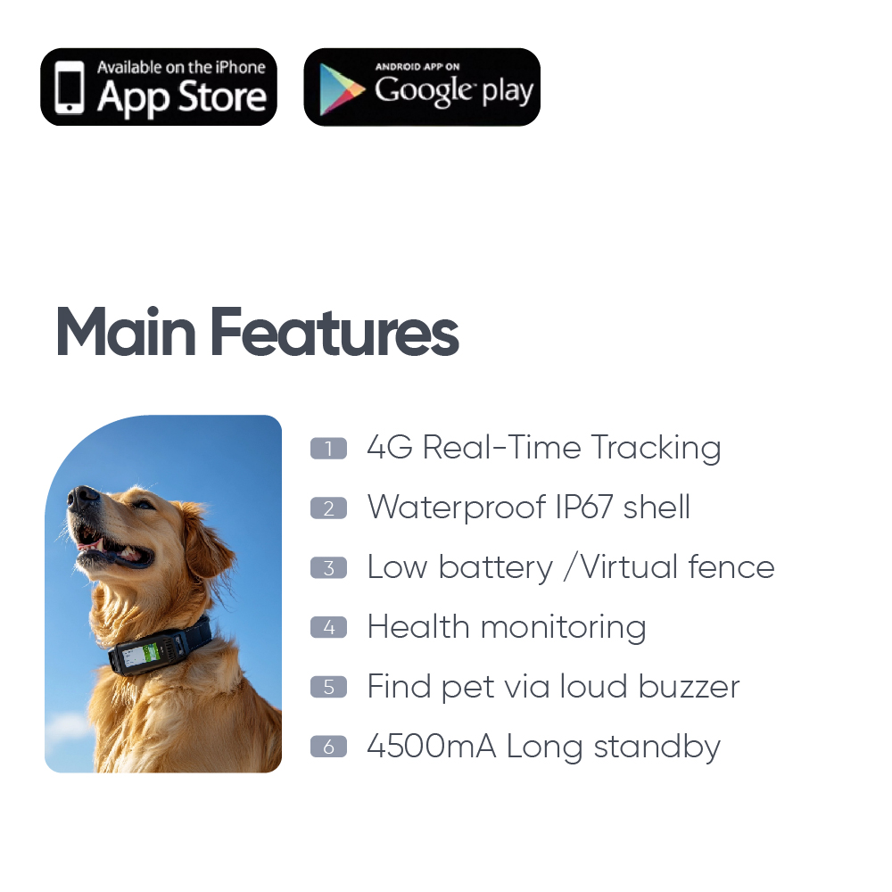 Human pet communication