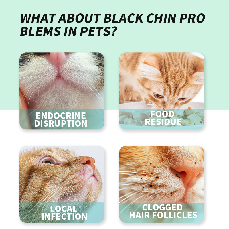 Cat Chin Blackhead Clean Wipes