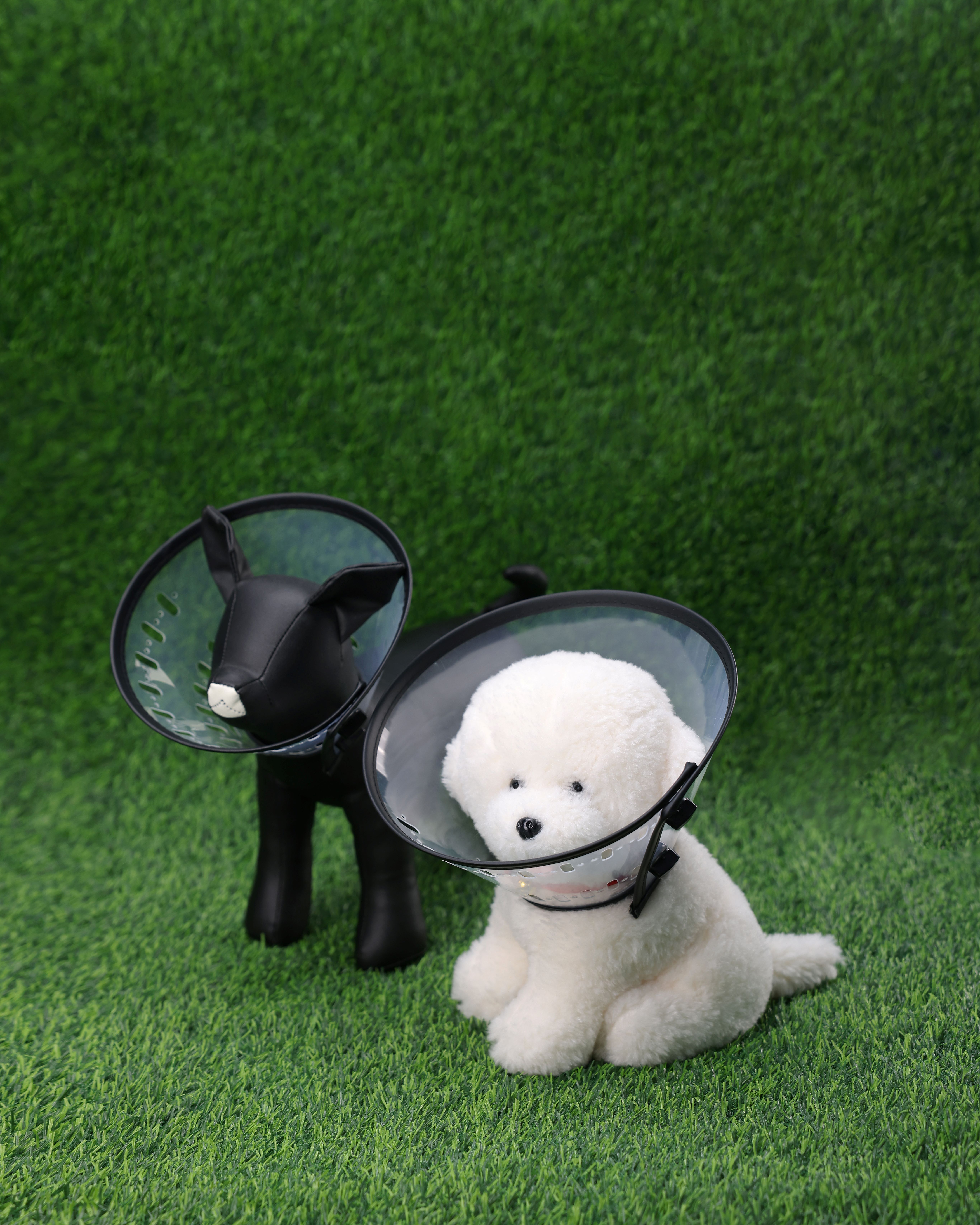 Medical/veterinary Products