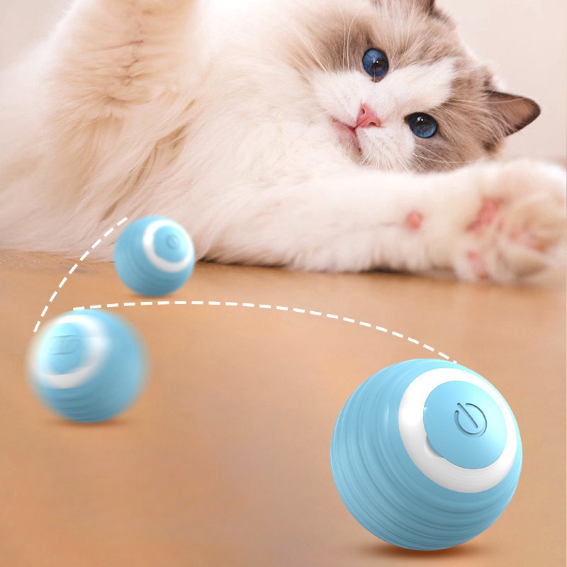 Cat toys