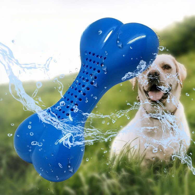 Pet Summer Products