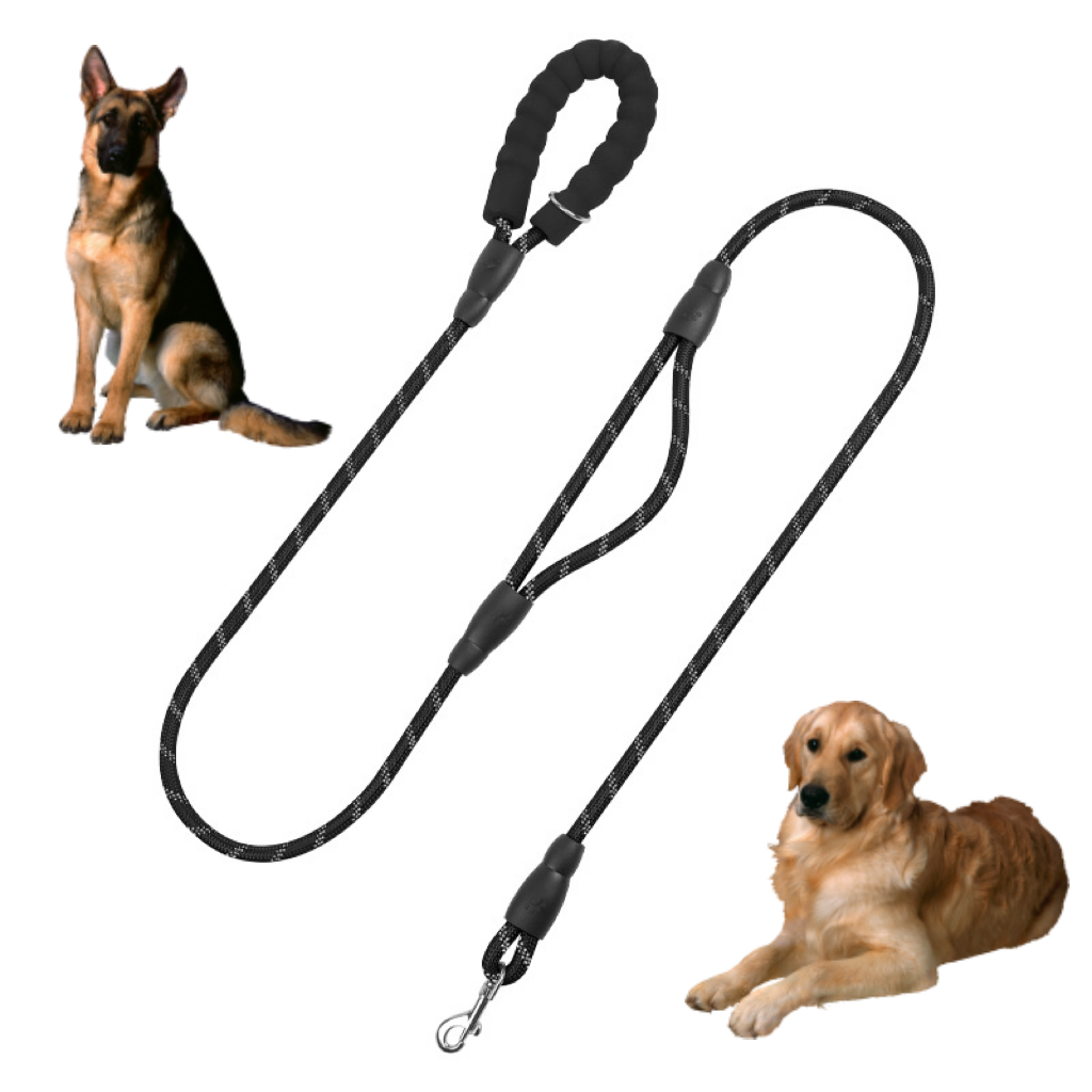 Pet Collars & Leashes