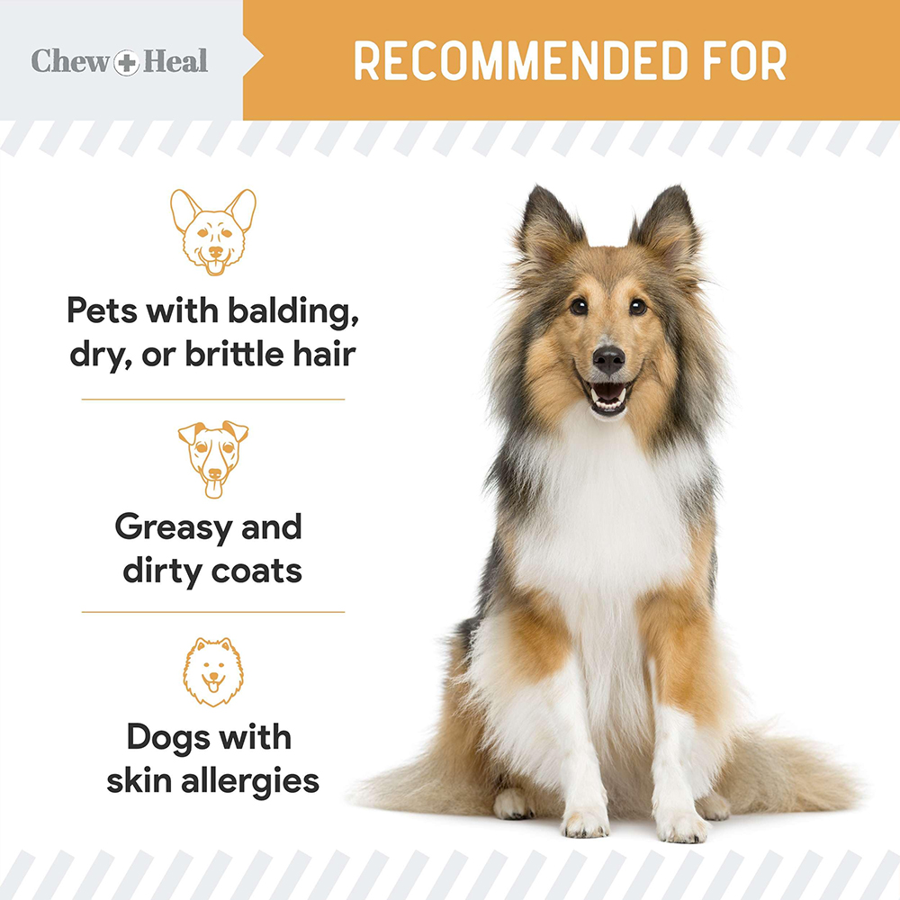 Pet Health Care & Supplements