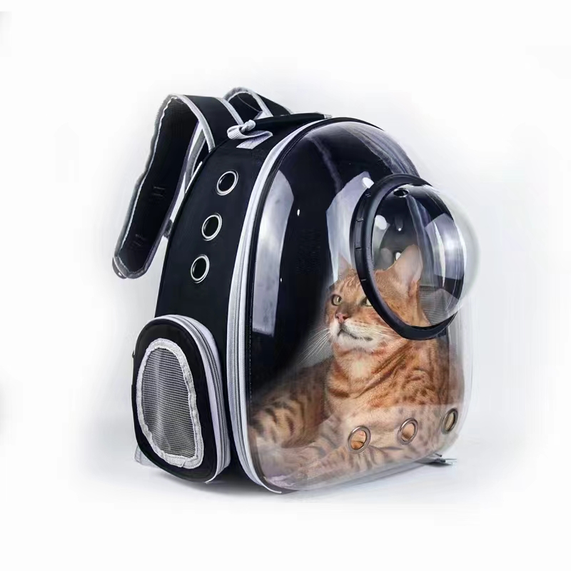 Pet Carriers & Travel