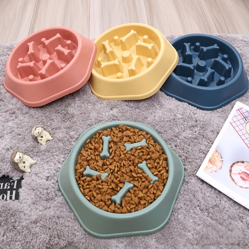 Pet Feeder