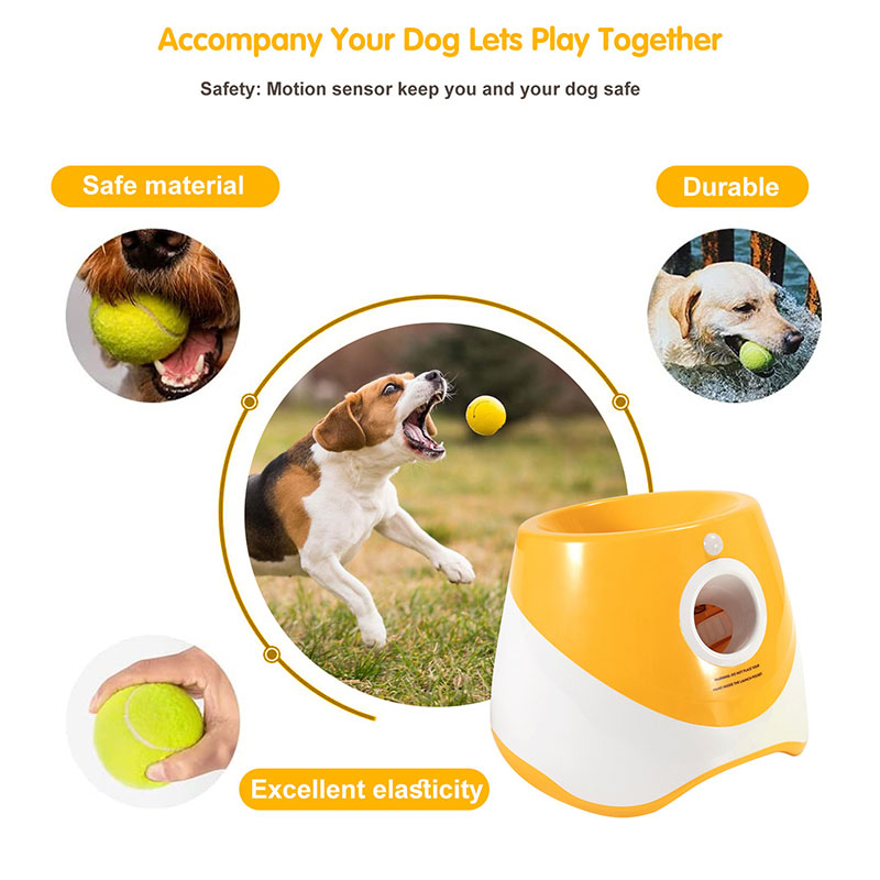 PET INTERACTIVE & MOVEMENT TOYS